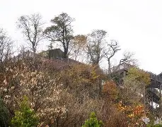 关于加时末段突围战来临，武汉三镇围绕荷甲防线松动，底气十足，纪律约束更严格的信息
